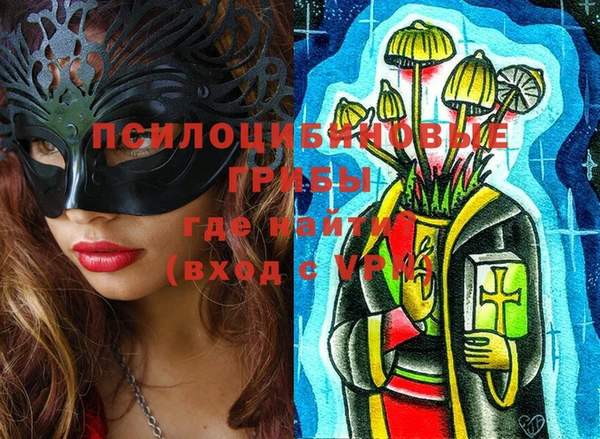 дмт Алексин