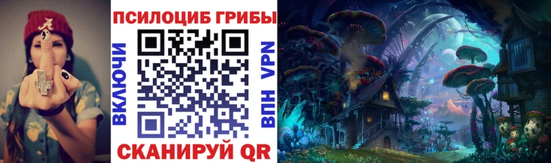 маркетплейс наркотические препараты  Грязовец  Псилоцибиновые грибы Cubensis 